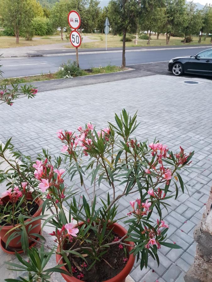 Pretty Garden Βίλα Orşova Εξωτερικό φωτογραφία